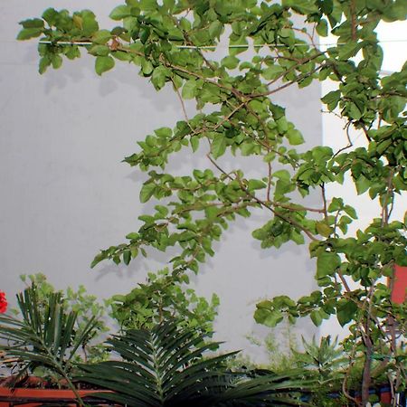 B&B Lili Салерно Екстериор снимка
